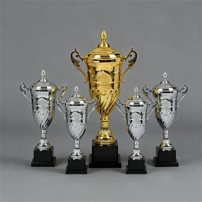 Sroge Trofijo Silver Trofy